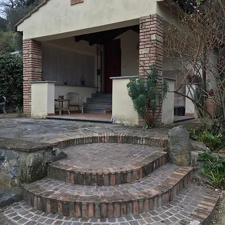 Tara * Bolsena