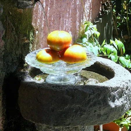 Tara *